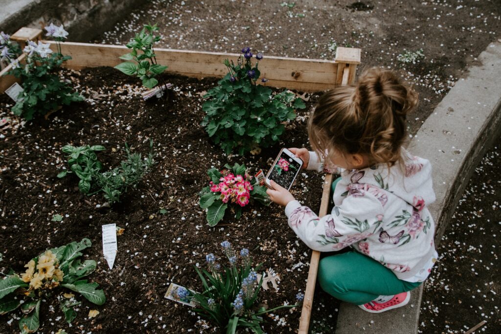 teaching sustainability thru gardening